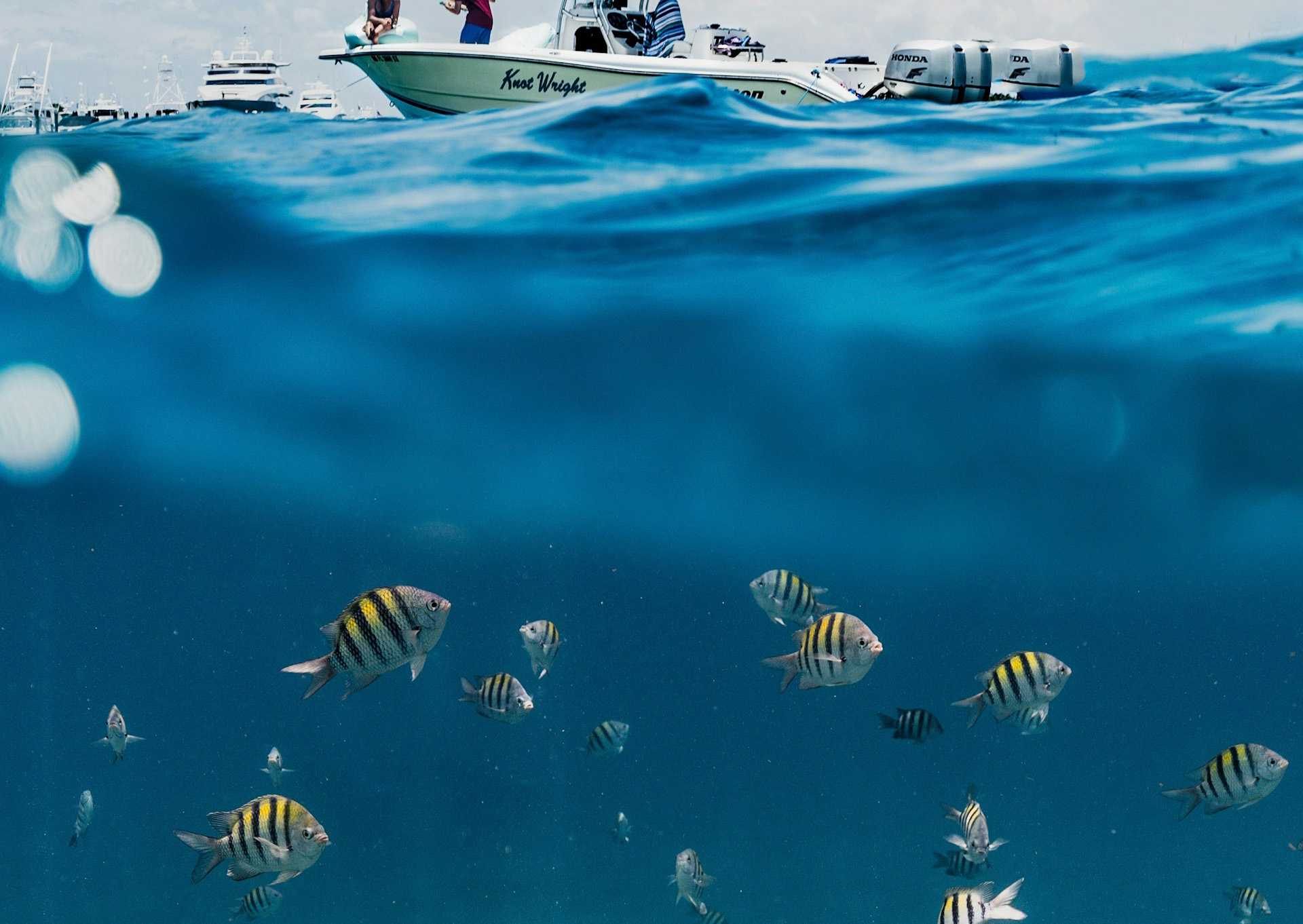 Pesca sportiva e diporto — Lorenz Marine in azione